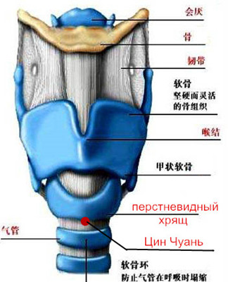 Цин Чуань - лечение астмы.jpg