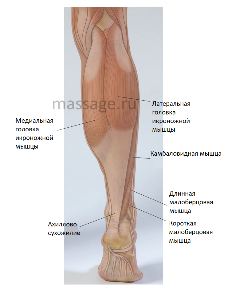  Pharmacom Labs : .