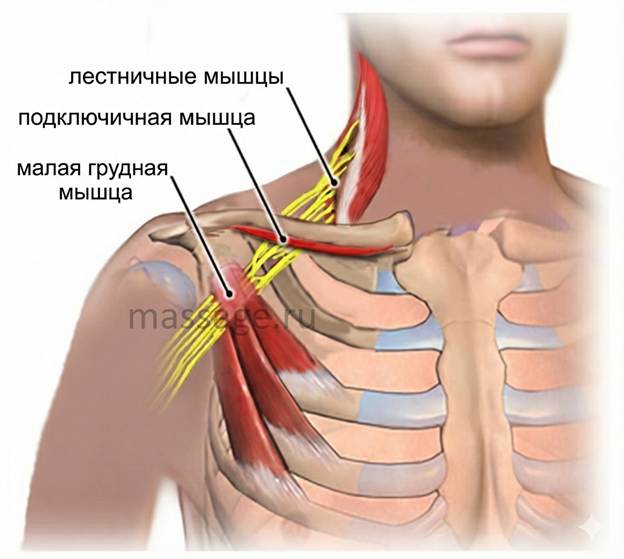 Изображение выглядит как искусство, дизайн
Содержимое, созданное искусственным интеллектом, может быть неверным.